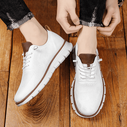 [Buy 1, Get 2] Westford Breeze