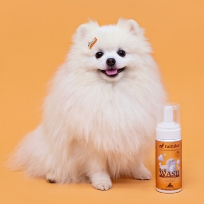 Mousse de Limpeza Pet Sem Enxágue Nano Prata | Natuka SoftWash