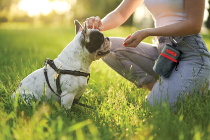 Petisqueira Kong Travel Treat Bag para Adestramento Cães